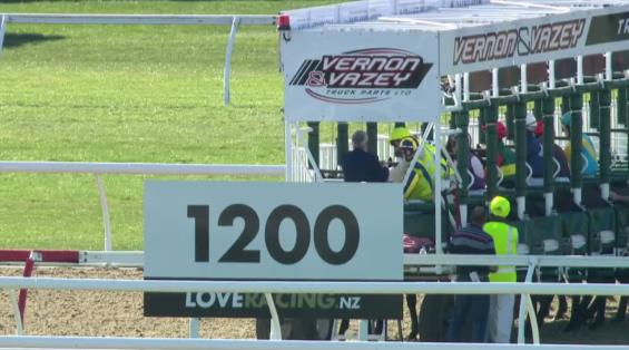 View video › View video ›