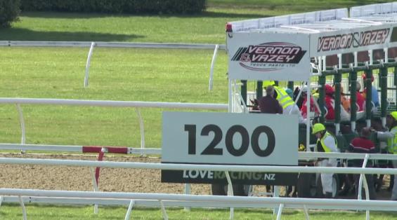 View video › View video ›