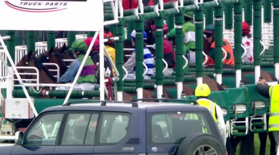 View video › View video ›