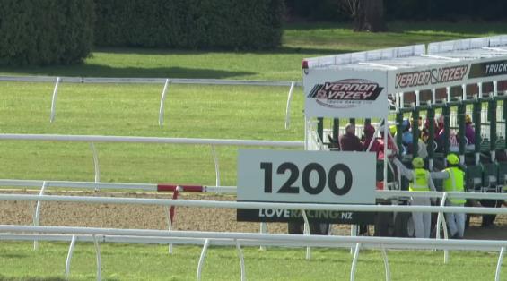 View video › View video ›