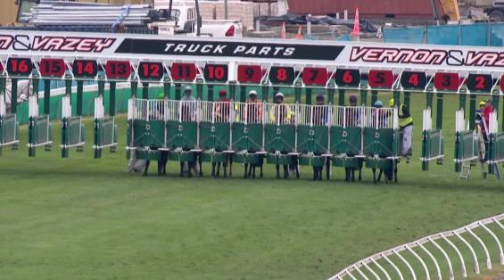 View video › View video ›