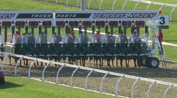 View video › View video ›