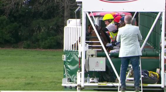 View video › View video ›