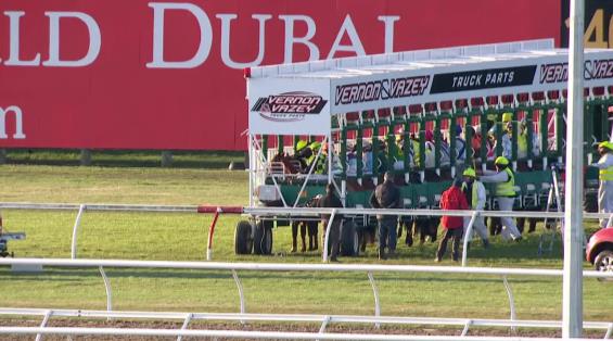 View video › View video ›