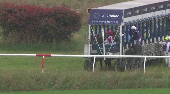 View video › View video ›