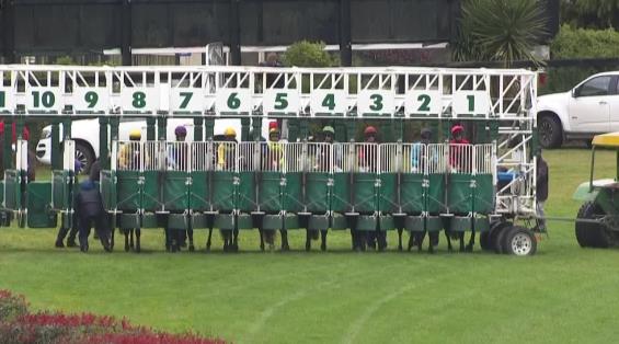 View video › View video ›