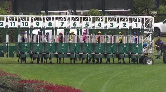 View video › View video ›