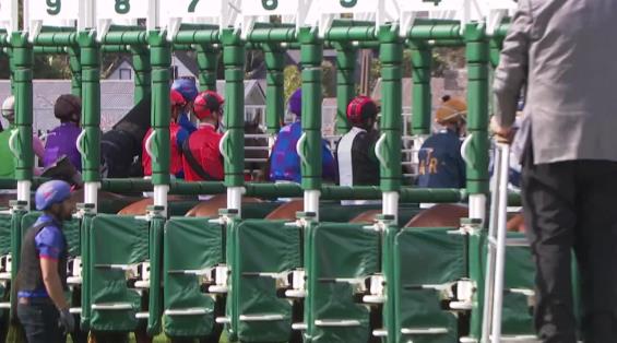 View video › View video ›