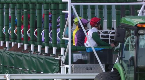 View video › View video ›