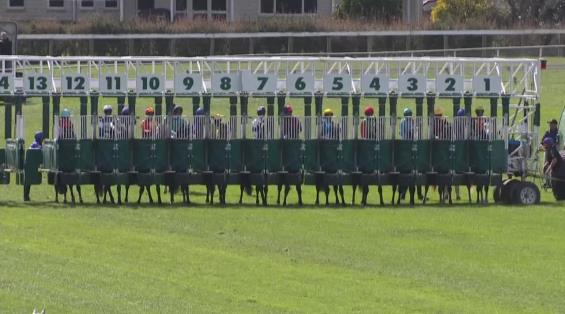 View video › View video ›