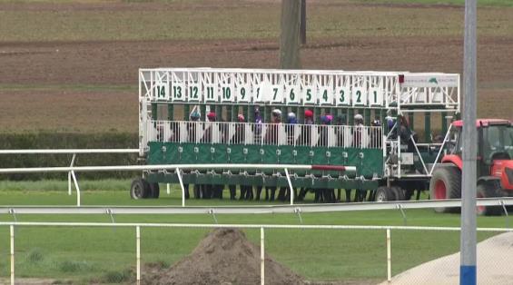 View video › View video ›