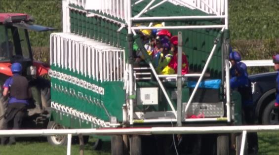 View video › View video ›