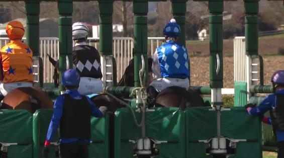 View video › View video ›