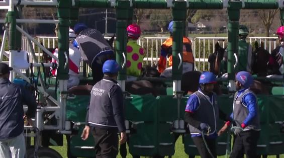 View video › View video ›