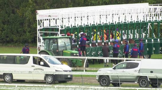 View video › View video ›