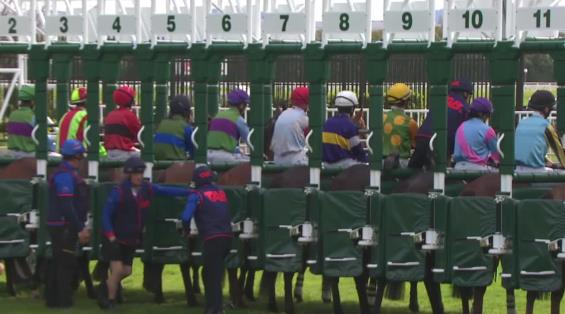 View video › View video ›