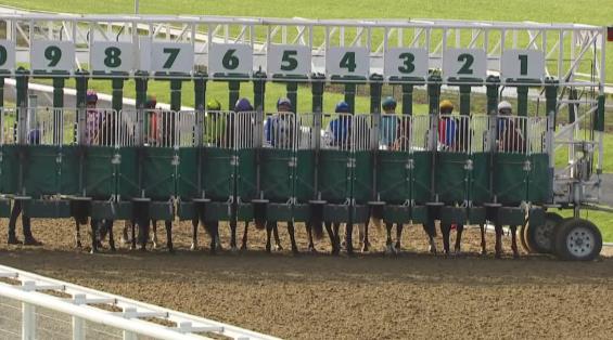 View video › View video ›