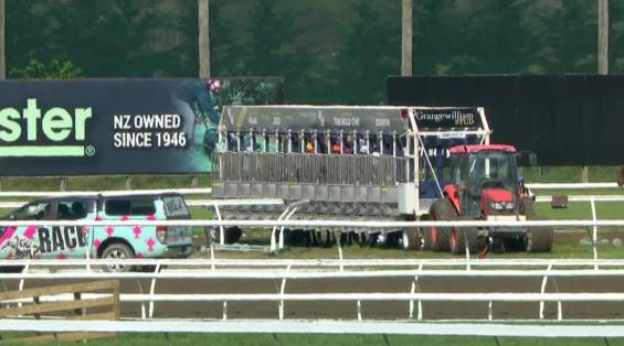 View video › View video ›