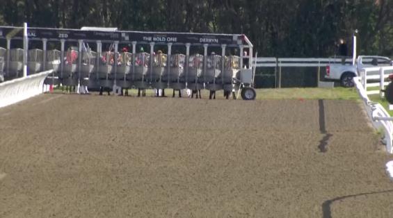 View video › View video ›