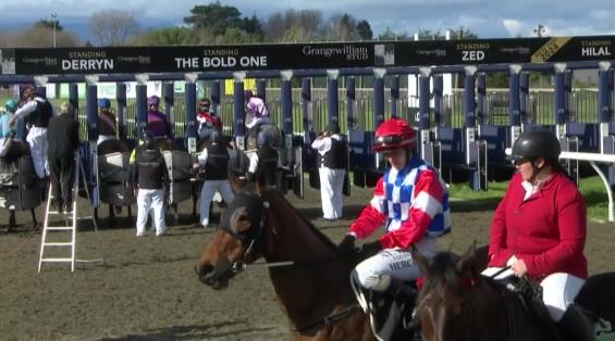 View video › View video ›