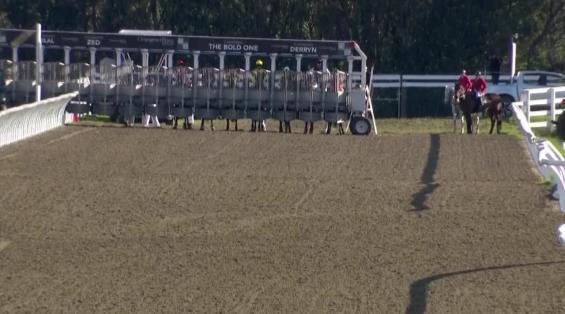 View video › View video ›