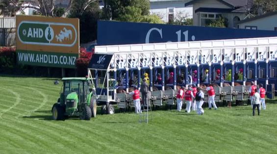 View video › View video ›