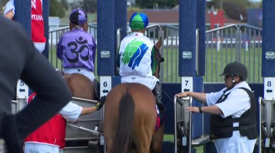 View video › View video ›