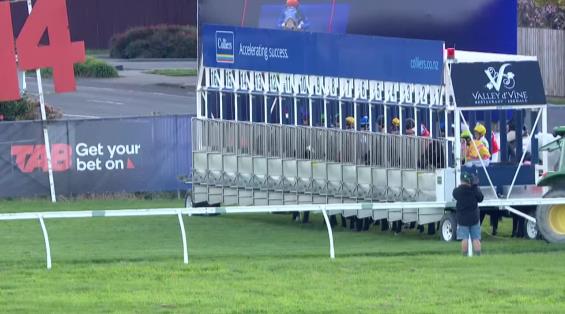 View video › View video ›