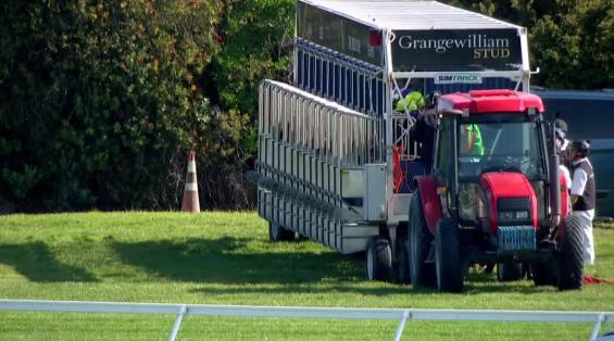 View video › View video ›