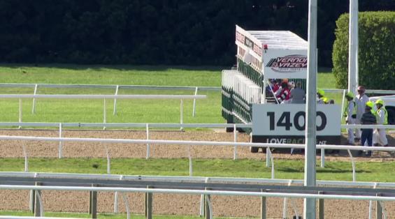 View video › View video ›