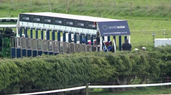 View video › View video ›