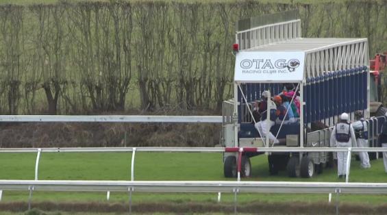 View video › View video ›