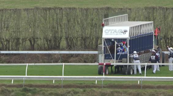 View video › View video ›