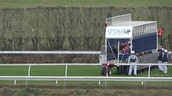 View video › View video ›