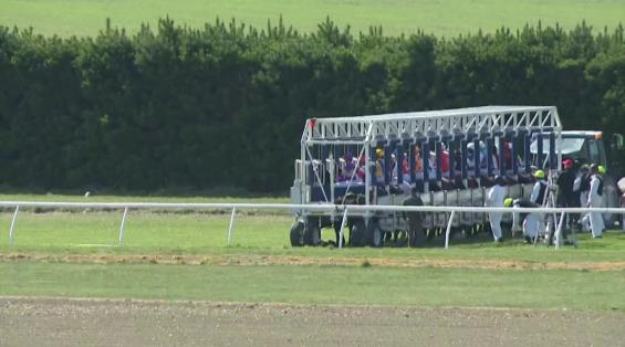 View video › View video ›