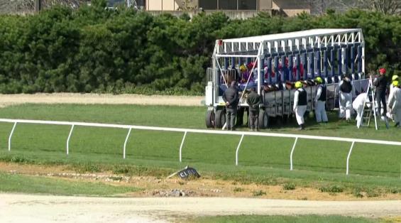 View video › View video ›