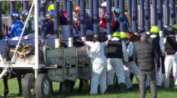 View video › View video ›