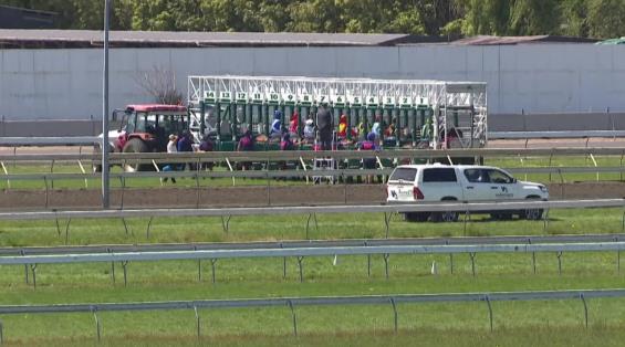 View video › View video ›