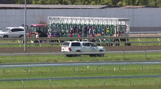 View video › View video ›