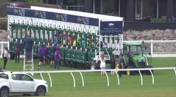 View video › View video ›