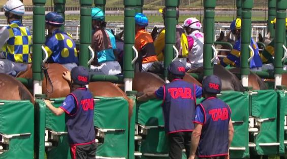 View video › View video ›