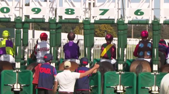 View video › View video ›