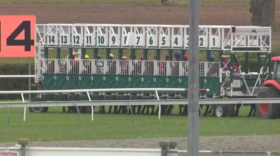 View video › View video ›