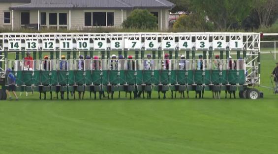 View video › View video ›