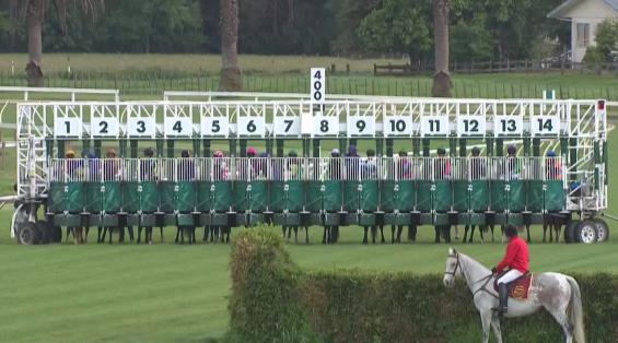 View video › View video ›