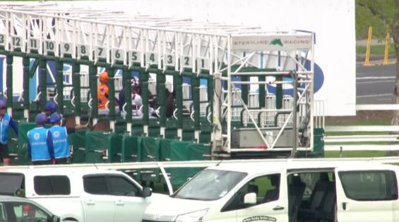 View video › View video ›