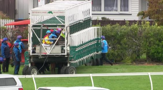 View video › View video ›