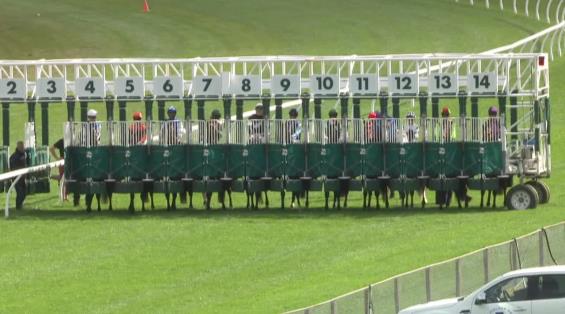 View video › View video ›