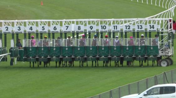 View video › View video ›