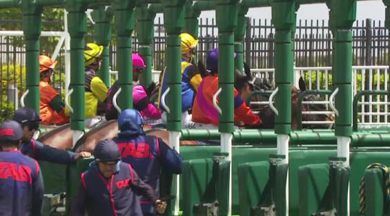 View video › View video ›